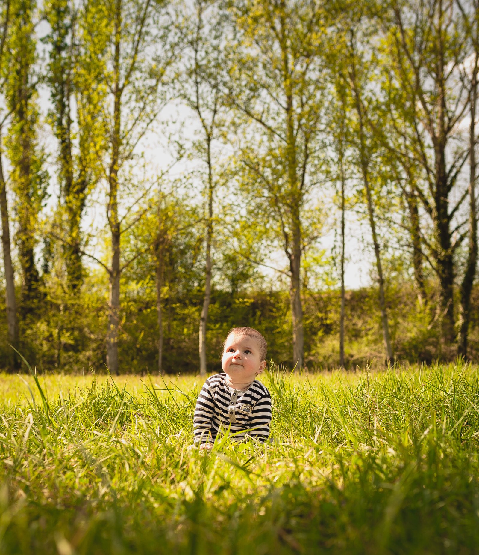 Bébé dans un champs | LensArt Création
